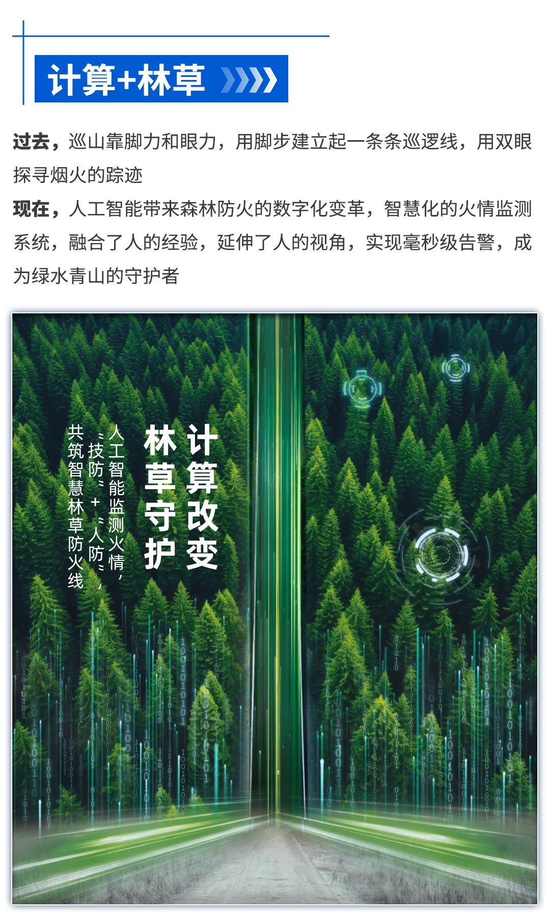 计算+林草