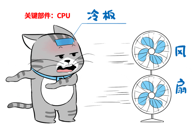 9.gif