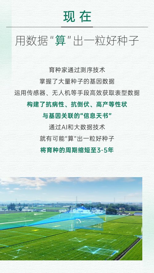 现在育种家通过测序技术,将育种的周期缩短至3-5年.jpg